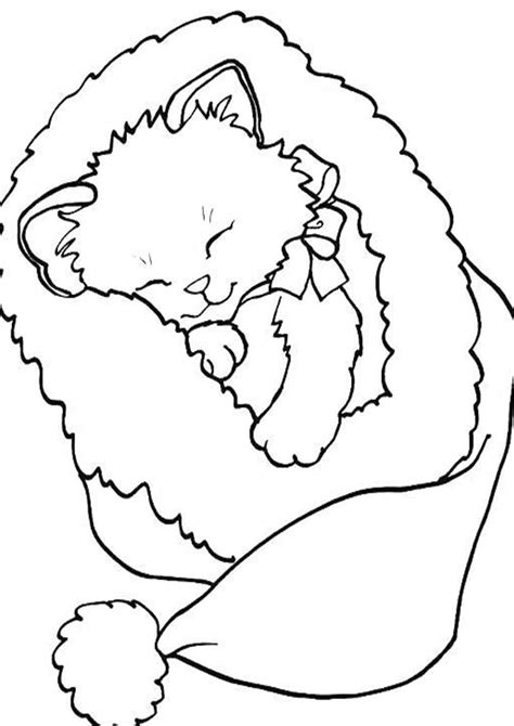 easy  print baby animal coloring pages cat coloring page
