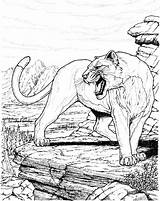 Printable Ausmalbilder Tiere Gepard Colouring Panthers Seuss Einzigartig Library Ae sketch template