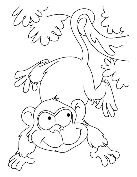 playing ape coloring pages   playing ape coloring pages