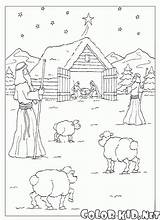 Coloring Shepherds Jesus Pages Christmas Colorkid sketch template