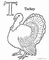 Coloring Thanksgiving Turkey Pages Preschool Printing Print Help sketch template