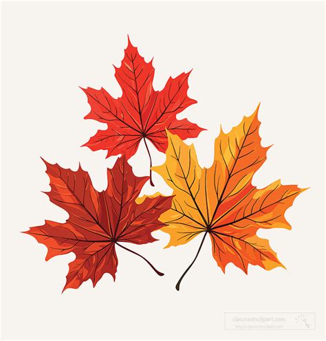 trees clipart  colorful maple leaves clipart
