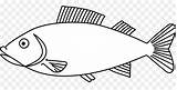 Fish Drawing Tang Book Coloring Yellow Line Wu Clipartmag Clipart sketch template