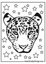 Leopards Printable Leopard Iheartcraftythings sketch template