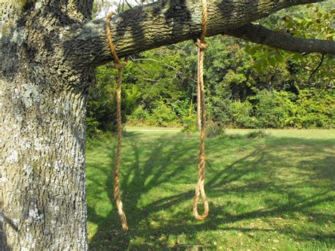 rope tree swing limb saver hanging rope  quarrydesigns  etsy