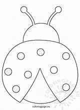 Ladybug Outline Clipart Coloring sketch template