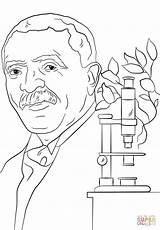 Coloring George Carver Washington Pages Printable Color Drawing Comments Popular Simple Getcolorings Coloringhome sketch template