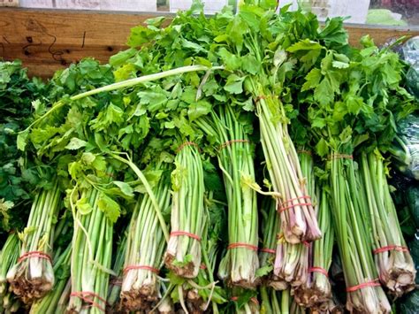 chinese celery seeds  counts pupus garden