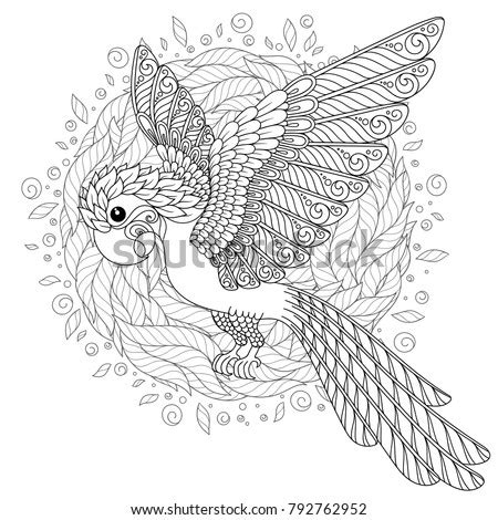parrot tropical bird coloring book adult stock illustration