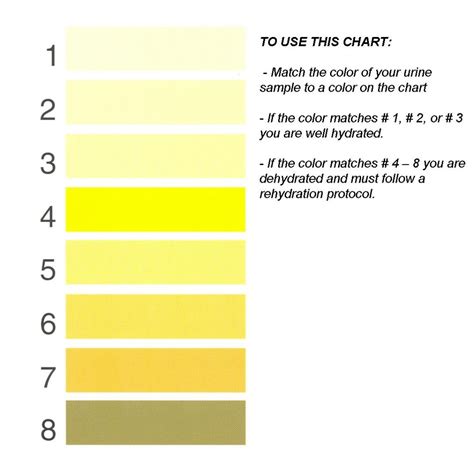 urine color chart  color  normal       hydrated strange urine colors