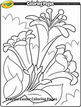 Easter Crayola Coloring Pages Lilies Ii Printable Getcolorings Print Getdrawings sketch template