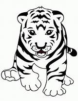 Tiger Coloring Pages Cute Baby Printable Kids Tigers Drawing Cartoon Sheets Letscolorit Print sketch template
