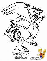 Pokemon Coloring Pages Reshiram Samurott Print Name Gif Boys Book Kids  Pixel Resolution 1200 sketch template