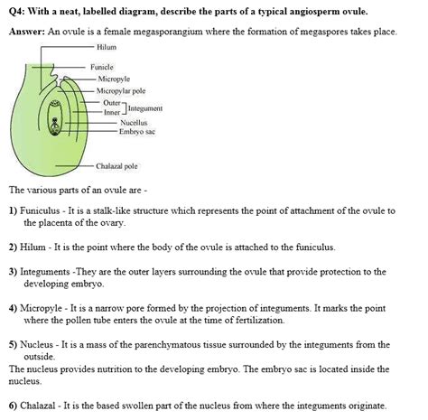 ncert solutions for class 12 biology chapter 2 sexual reproduction in