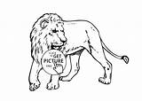Animals Lion Colouring Drawing Realistic Coloring Pages Animal Color Printable Real Kids Getdrawings Drawings Paintingvalley Choose Board sketch template