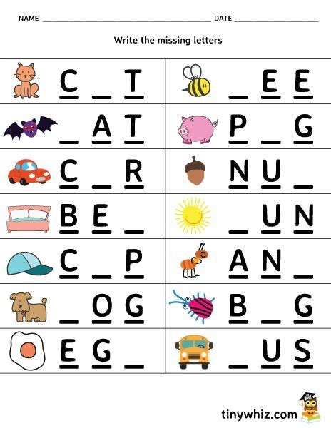 printable worksheet write  missing letter  letter words ti