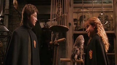 Harry And Hermione Scenes Hp And The Chamber Of Secret Youtube