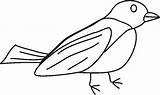 Uccellini Casette sketch template