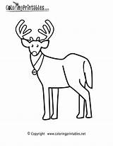 Reindeer Coloring Pages Printable Holiday Christmas Printables Symbols Thank Please Coloringprintables sketch template