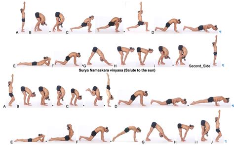 guide  hatha yoga  beginners  dictionary  health care