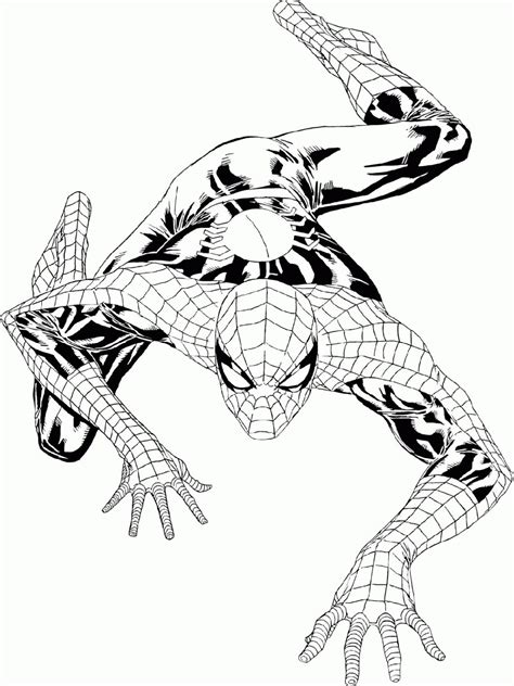 amazing spiderman coloring sheets  kids  adults  coloring