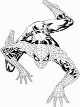 Spiderman Sheets 101coloring sketch template