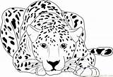 Cheetah Coloring Pages Running Printable Sitting Color Baby Print Colouring Adults Kids Drawing Coloringpages101 Cheetahs Cub Animal Easy Cute Draw sketch template