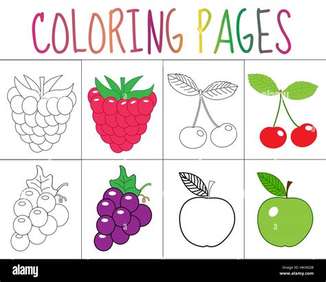 coloring book page set fruits collection sketch  color version
