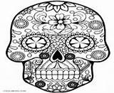 Coloring Pages Skull Sugar Advanced Cat Printable sketch template
