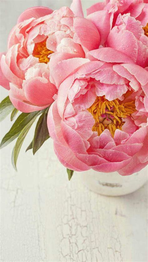 Pin By Pandora On Flowers Canvas Art Prints Pink Peonies Rose Oil