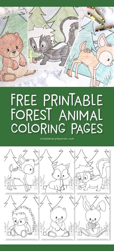 printable forest animal coloring pages  simple  cute