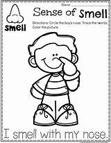 Smell Senses Sense Preescolar Sentidos Planningplaytime Playtime Smelling Actividades Tasting Absurdos sketch template