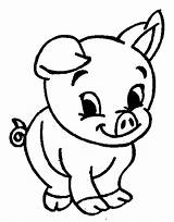 Cute Pig Coloring Pages Baby Drawing Pigs Kids Guinea Printable Animal Cartoon Animals Adorable Easy Christmas Pikachu Minecraft Peppa Colouring sketch template
