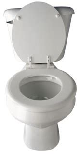 health news flushing  toilet    sick