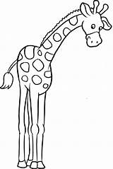 Giraffe Coloring Pages Wild Animals Choose Board sketch template