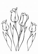 Tulpen Coloring Tulip Kleurplaat Flower Tekening Kleurplaten Lente Print Bloem Van Bloemen Tekenen Op Bord Kiezen sketch template