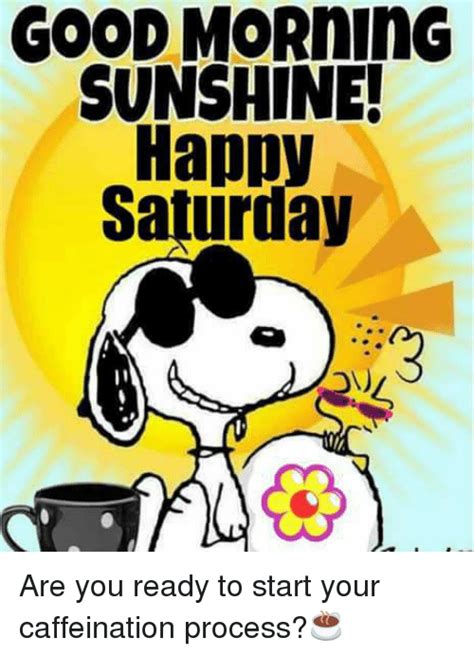 good morning sunshine happy saturday are you ready to