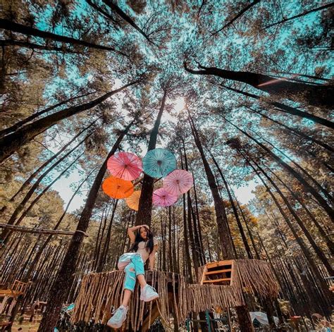 tempat wisata  bogor  murah    review harga tiket