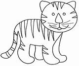 Tigrotto Tigre Stampare Tigri Cucciolo Cose sketch template