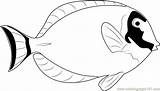 Coloring Blue Fish Surgeonfish Powder Pages Butterfly Color Coloringpages101 Getcolorings sketch template