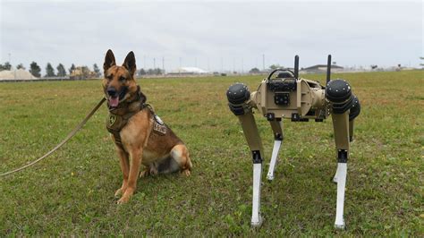 robot dogs arrive  tyndall afb air force news