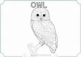 Owl Snowy Coloring Drawing Barn Color Pages Printable Getdrawings Getcolorings sketch template