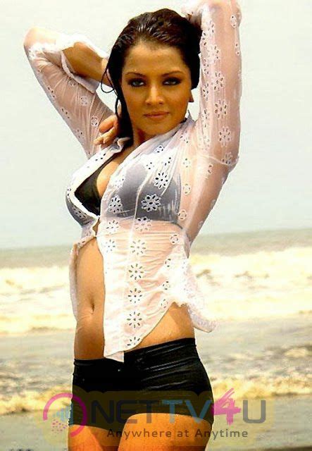 Bollywood Actress Celina Jaitly Latest Hot Sexy Images 307698