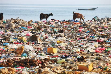 plastic pollution  threat  ecosystem health  health  development initiative ohdi
