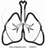 Lungs Clipart Illustration Outline Royalty Lal Perera Vector 2021 Clipground Poster Print Clipartof sketch template