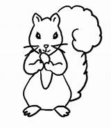 Squirrel Coloring Pages Kids Print Clipart Activities Autumn Squirrels Templates Preschool Flying Cartoon Printable Cliparts Easy Template Clip Library Simple sketch template