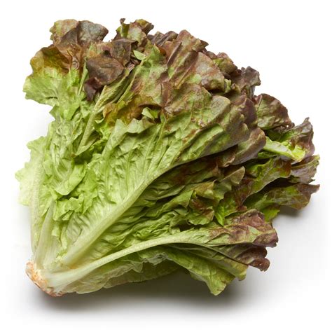 red leaf lettuce health benefits  nutritional