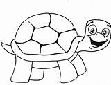 Schildpad Kleurplaat Afdrukbare Tortoise sketch template