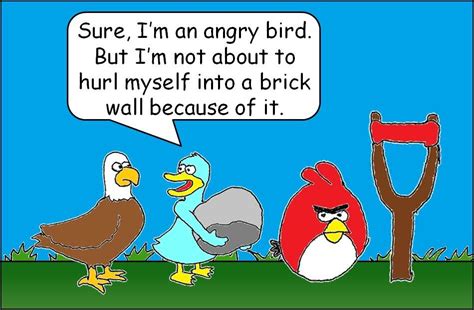 Angry Mom Quotes Angry Birds Funny Quotes