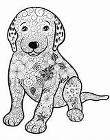 Macmillan Zendoodle Presents Coloring Dog Good sketch template